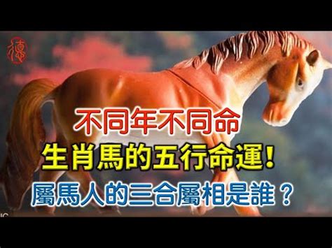 馬五行|【生肖馬五行】屬馬五行屬什麼？生肖馬五行相生相剋查詢指南，。